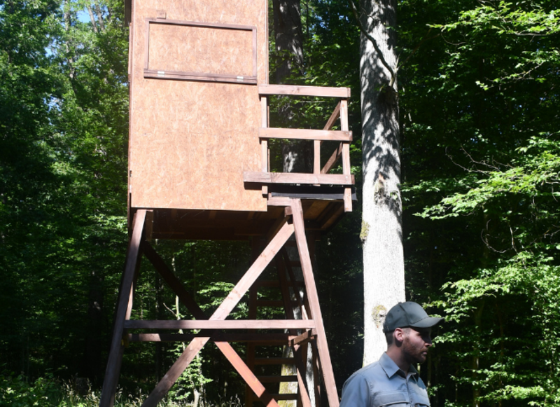 Auf dem Hochsitz verbringen die beauftragten Mitjäger Zeit im Stadtwald, um der Regiejagd von Rehwild nachzugehen. Foto: Stadt Heilbronn