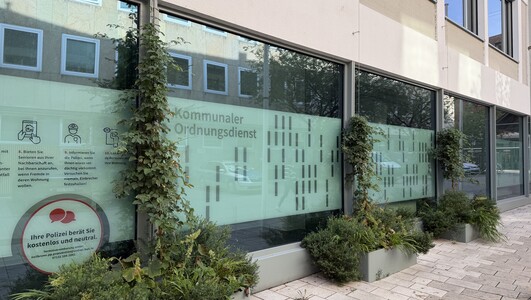 Neun Monate nach der Pflanzung zeigt sich die Fassadenbegrünung an der Lohtorstraße 22 deutlich entwickelt. (Foto: Stadt Heilbronn)