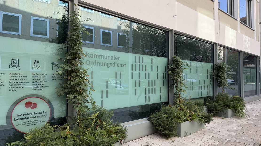 Neun Monate nach der Pflanzung zeigt sich die Fassadenbegrünung an der Lohtorstraße 22 deutlich entwickelt. (Foto: Stadt Heilbronn)