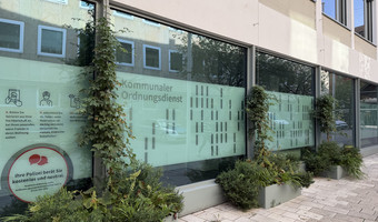 Neun Monate nach der Pflanzung zeigt sich die Fassadenbegrünung an der Lohtorstraße 22 deutlich entwickelt. (Foto: Stadt Heilbronn)