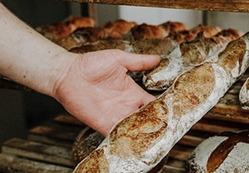 Die Bioland Brotschmiede Die Bioland Brotschmiede
