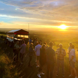 Planwagenfahrt in den Heilbronner Weinbergen