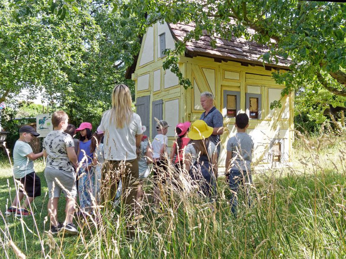 Das Bild zeigt eine Grundschulgruppe bei einer Naturführung am Bienenhaus.