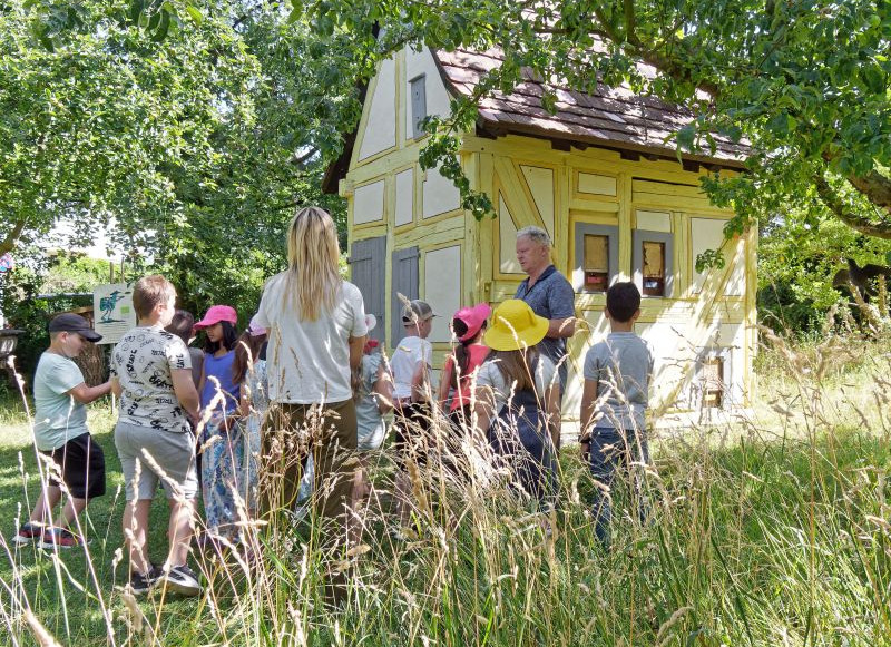 Das Bild zeigt eine Grundschulgruppe bei einer Naturführung am Bienenhaus.