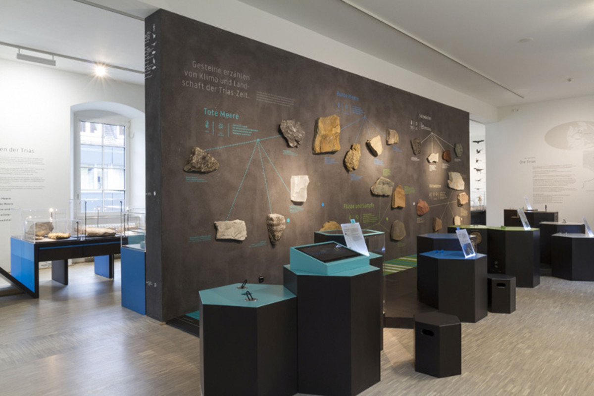 Einblick in die Ausstellung Salz - Sand - Saurier
