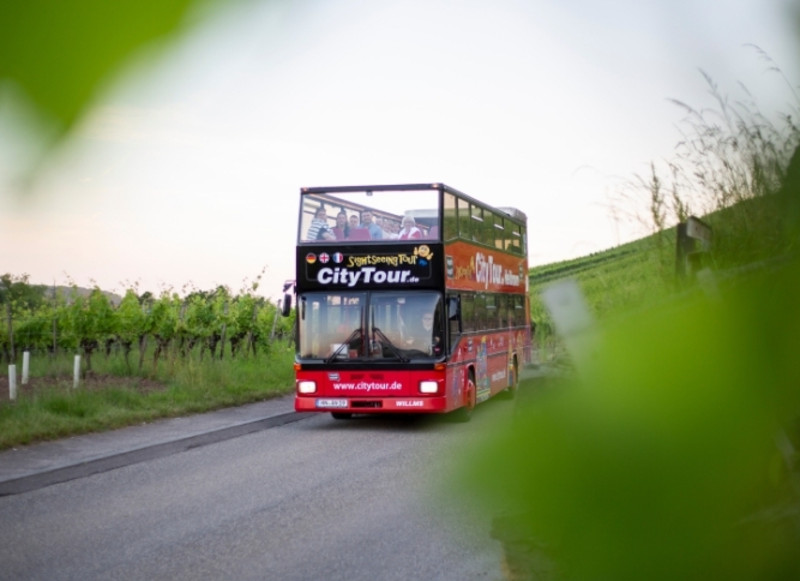 in roter Doppeldeckerbus fährt durch die Weinberge