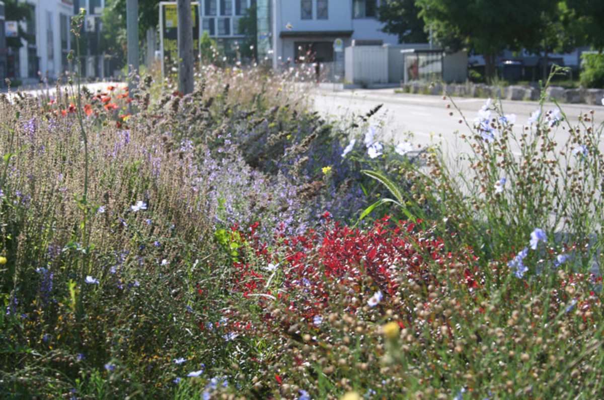 Fügerstraße Fügerstraße