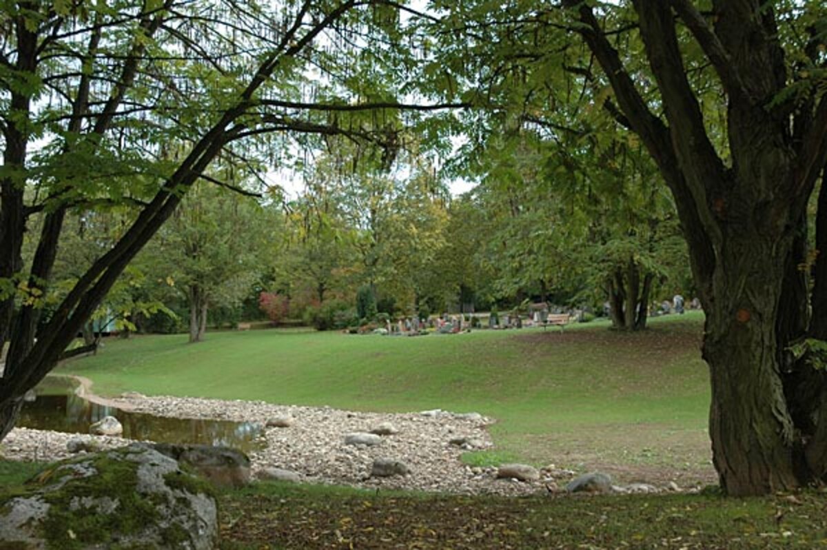 Blick auf Seerosenteich und Narzissenwiese 