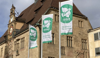Das Bild zeigt drei wehende grüne Farben mit der weißen Friedenstaube vor dem Rathaus. Es sind Flaggen der internationalen Organisation "Mayors for Peace", übersetzt Bürgermeister für Frieden.