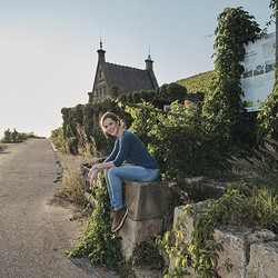 Wein Panorama Weg am Wartberg