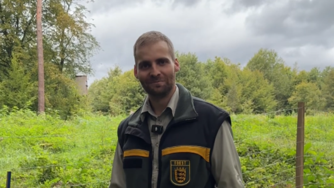 Robin Ihle, Förster und Leiter Revier Ost, zeigt vor Ort, wie die Aufforstungsfläche entsteht. Foto: Stadt Heilbronn