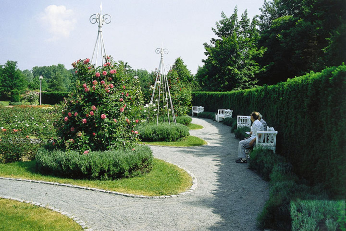 Rosarium im Wertwiesenpark