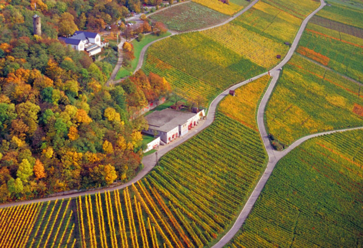 Wartberg
