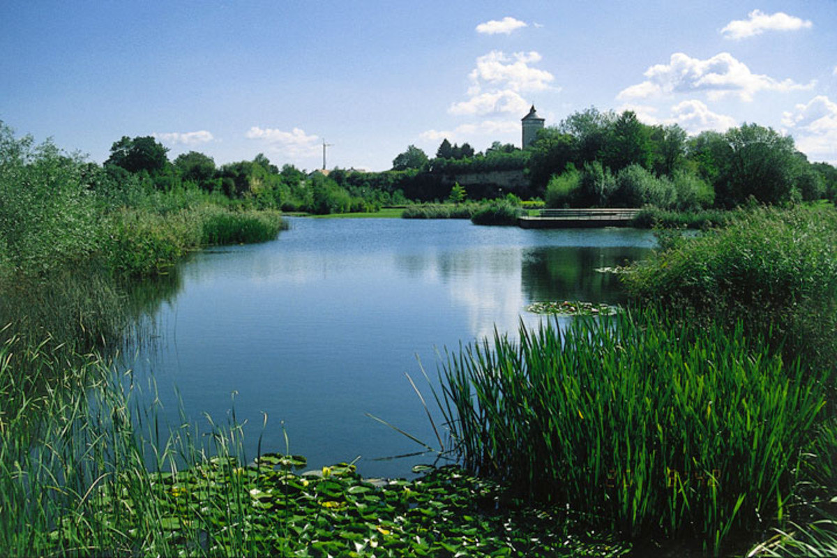 See im Ziegeleipark (Foto: Stadtarchiv/Kimmerle)