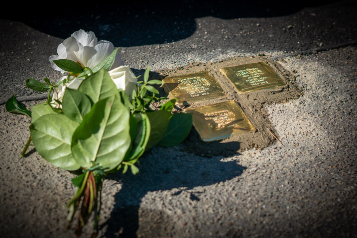 Weiße Blume liegt neben neu verlegten Stolpersteinen in Heilbronn die an Opfer des Nationalsozialismus erinnern eingebettet im Gehweg einer Straße