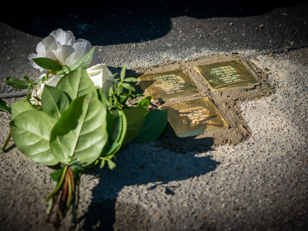 Weiße Blume liegt neben neu verlegten Stolpersteinen in Heilbronn die an Opfer des Nationalsozialismus erinnern eingebettet im Gehweg einer Straße