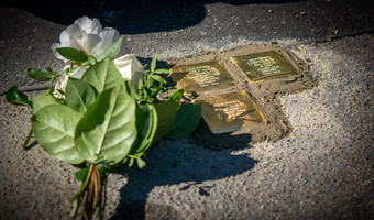 Weiße Blume liegt neben neu verlegten Stolpersteinen in Heilbronn die an Opfer des Nationalsozialismus erinnern eingebettet im Gehweg einer Straße