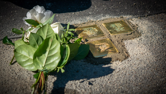 Weiße Blume liegt neben neu verlegten Stolpersteinen in Heilbronn die an Opfer des Nationalsozialismus erinnern eingebettet im Gehweg einer Straße