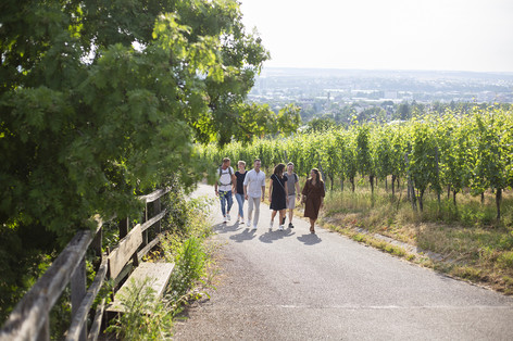 Wanderung auf dem Wein Panorama Weg am Wartberg