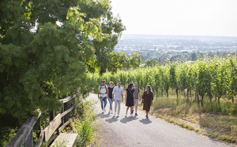 Panorama-Wanderung am Wartberg