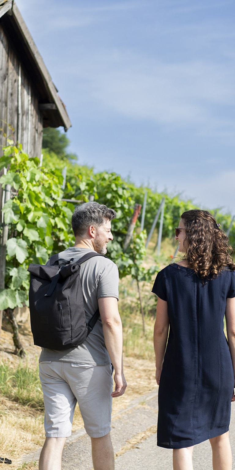 Weinwanderung in Heilbronn