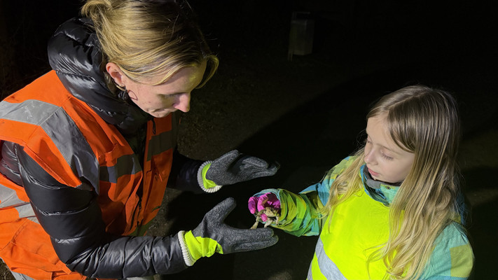 Ein kleines Mädchen in Warnweste zeigt einer erwachsenen Frau in Warnweste eine kleine Erdkröte. 