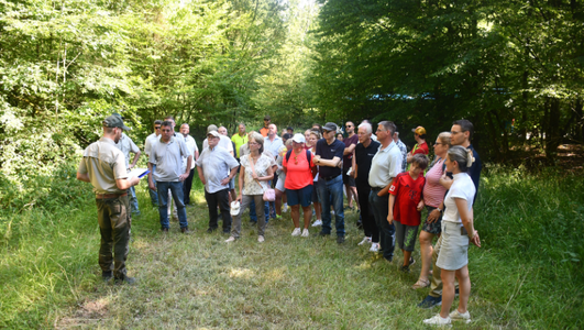 Das Forst-Team der Stadt Heilbronn mit dem Abteilungsleiter Fort- und Landwirtschaft Immanuel Schmutz (2. v. r.) Foto: Stadt Heilbronn