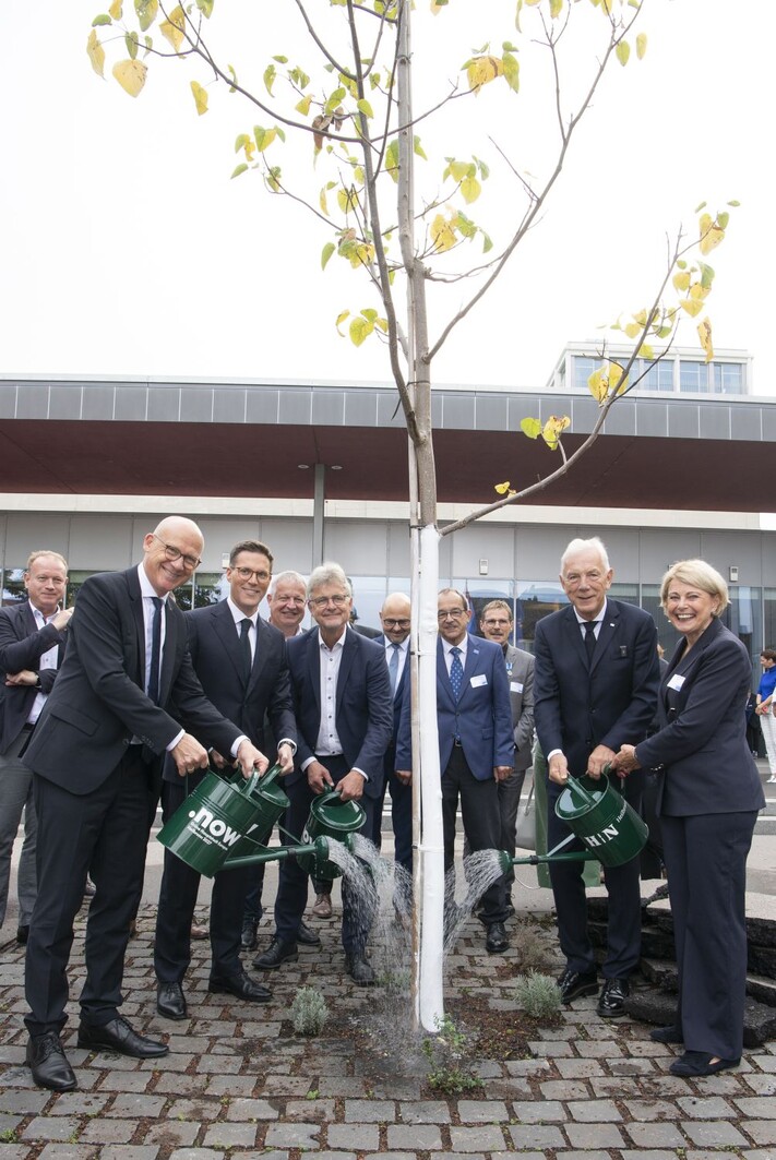 Menschen stehen um einen Baum und gießen ihn