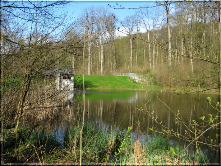 Ein Blick auf den Köpferstausee mit dem Hochwasserdamm und dem Auslassbauwerk im hinteren Bereich. Foto: Stadt Heilbronn