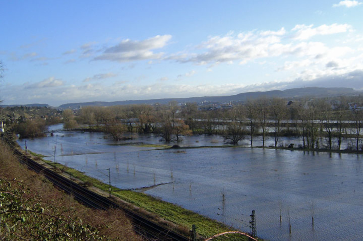 Hochwasser im Bereich Klingenberg - Gewann Wert/Horkheimer Insel im Januar 2004