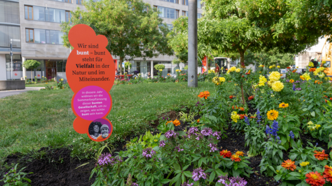Auf Stecktafeln in den Beeten informiert die Stadt über die Themen des Sommerflors. Foto: Stadt Heilbronn/Häffner
