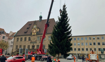 Aufstellung des Weihnachtsbaums auf dem Heilbronner Marktplatz in einem der Vorjahre.