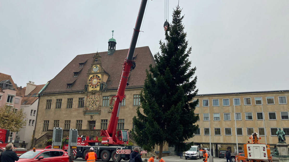 Aufstellung des Weihnachtsbaums auf dem Heilbronner Marktplatz in einem der Vorjahre.