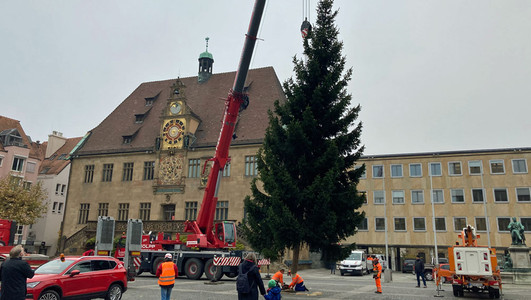 Aufstellung des Weihnachtsbaums auf dem Heilbronner Marktplatz in einem der Vorjahre.