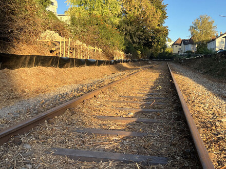 Gleise der ehemaligen Bottwartalbahn, auf denen künftig der neue Geh- und Radweg angelegt wird. 