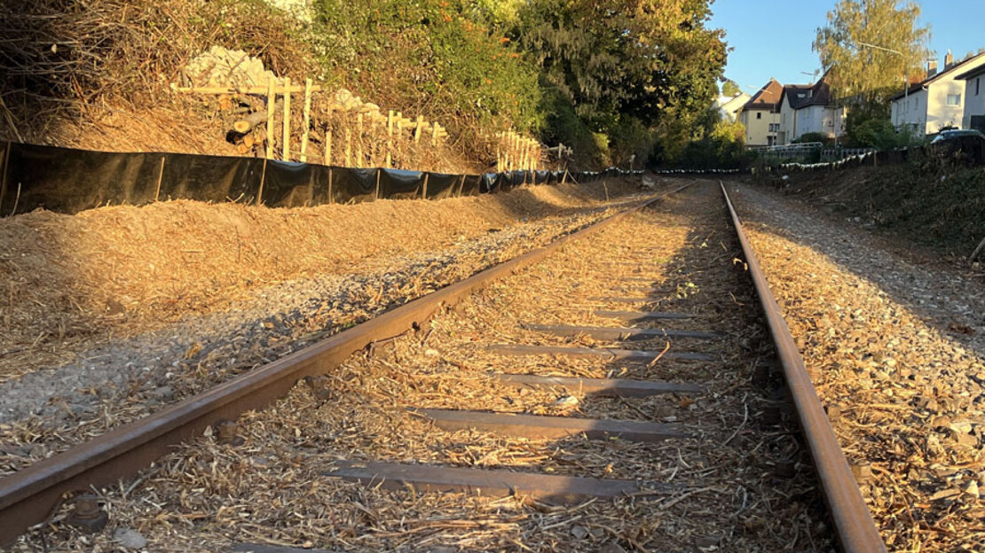 Gleise der ehemaligen Bottwartalbahn, auf denen künftig der neue Geh- und Radweg angelegt wird.