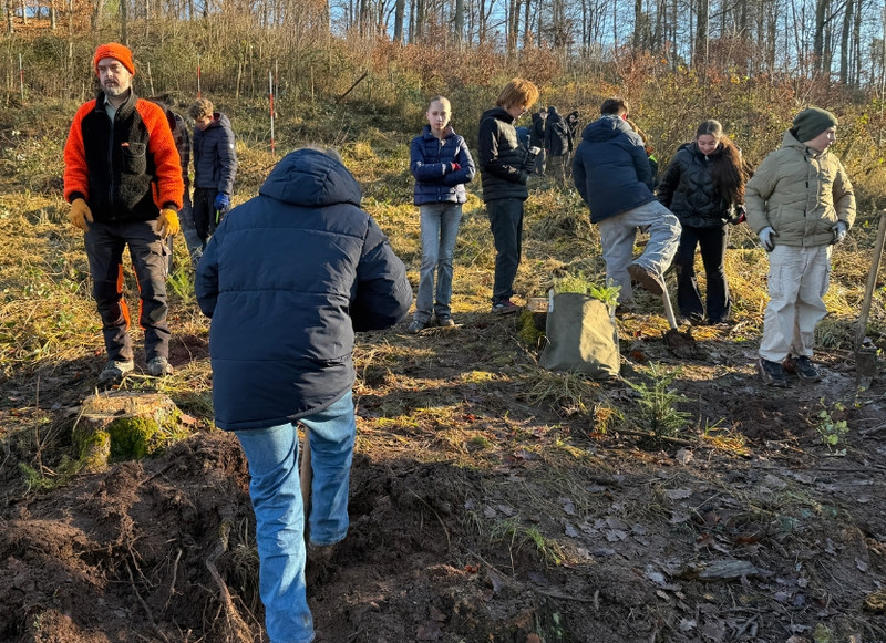Gruppen der Klasse 7b mit Betreuer beim pflanzen