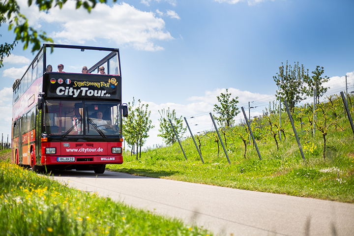 Hop-On-Hop-Off-Bus in den Weinbergen