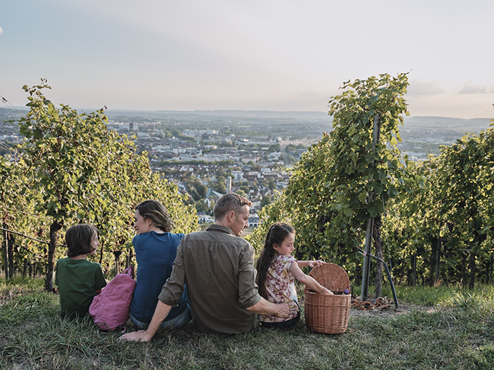 Picknick im Weinberg