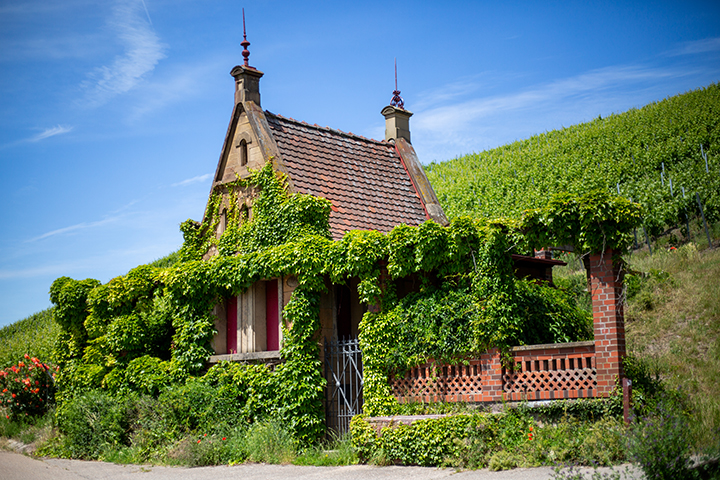 Wengerthäusle am Wein Panorama Weg