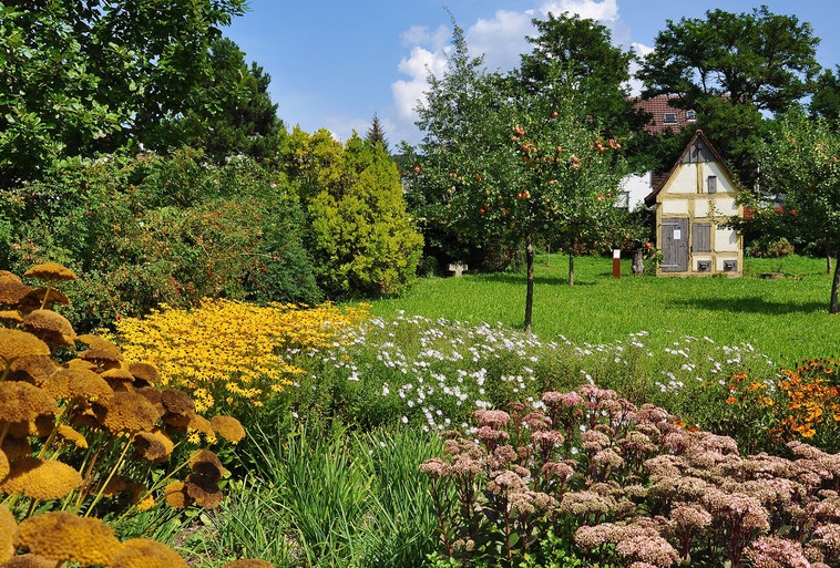 Botanischer Obstgarten