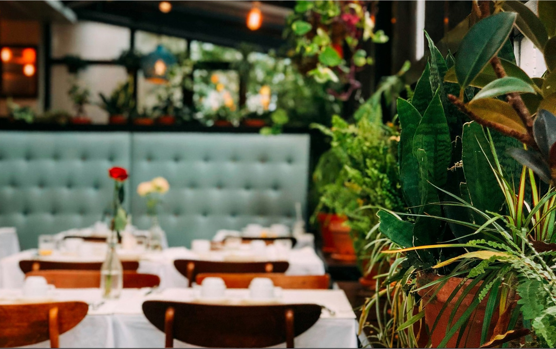 gedeckte Tische und Sitzbank im Restaurant