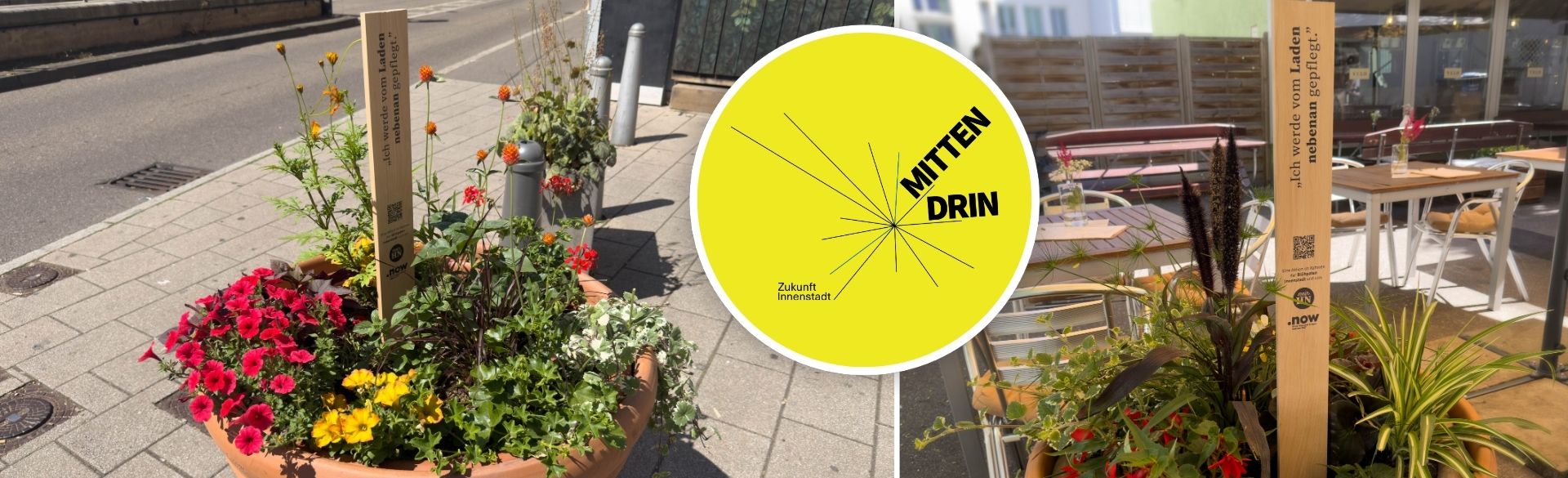 Große Pflanzkübel mit bunten Blumen stehen vor Geschäften in der Heilbronner Innenstadt. Holzschilder weisen auf die Pflege durch Ladenbetreiberinnen und Ladenbetreiber hin, daneben ist das Logo „MITTEN DRIN“ zu sehen.