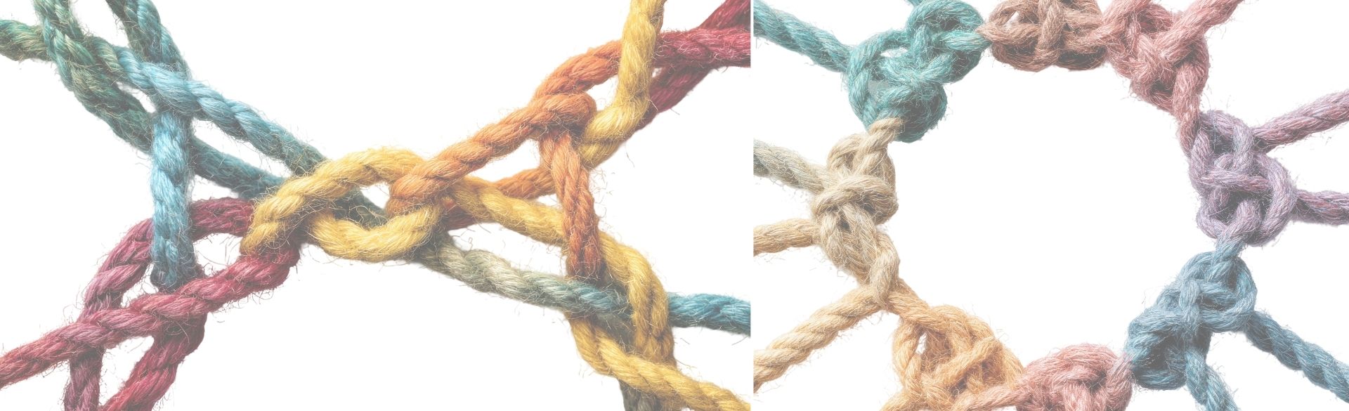 Symbolbild: Man sieht einen Knoten aus bunten Seilen