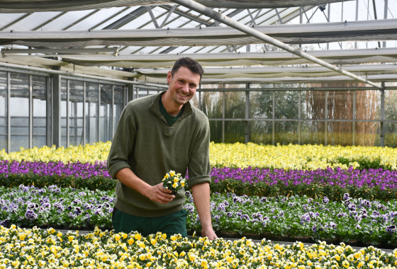 Gemeinsam mit seinem Team hat Mike Gollner in den vergangenen Wochen die Blumen für die Frühlingsbeete herangezogen. Jetzt können sie die Heilbronner Plätze wieder zum Leuchten bringen. Foto: Milva-Katharina Klöppel