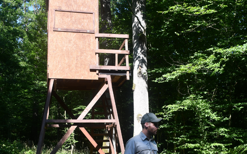 Auf dem Hochsitz verbringen die beauftragten Mitjäger Zeit im Stadtwald, um der Regiejagd von Rehwild nachzugehen. Foto: Stadt Heilbronn