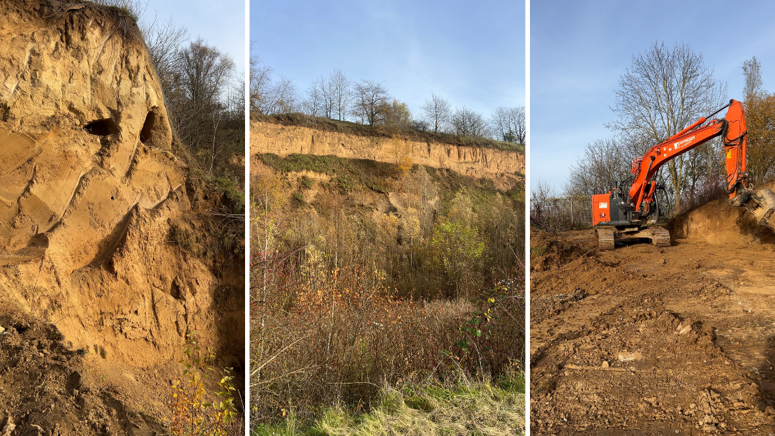 Freigestellte Lösssteilwände, verbuschte Hänge und der Bagger bei den aktuellen Pflegearbeiten im Naturschutzgebiet Frankenbacher Schotter sichern die besonderen Lebensräume für Amphibien und Insekten. Foto: Stadt Heilbronn