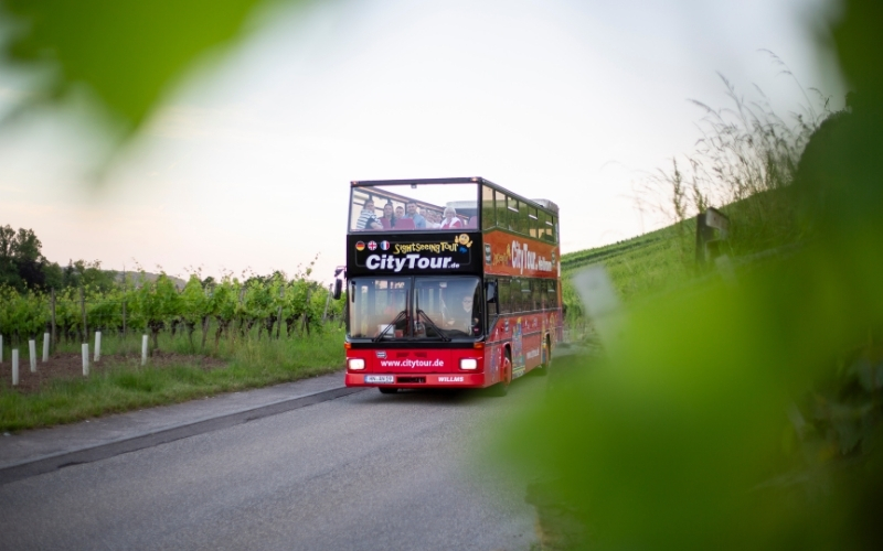Ein roter Doppeldeckerbus fährt durch die Weinberge