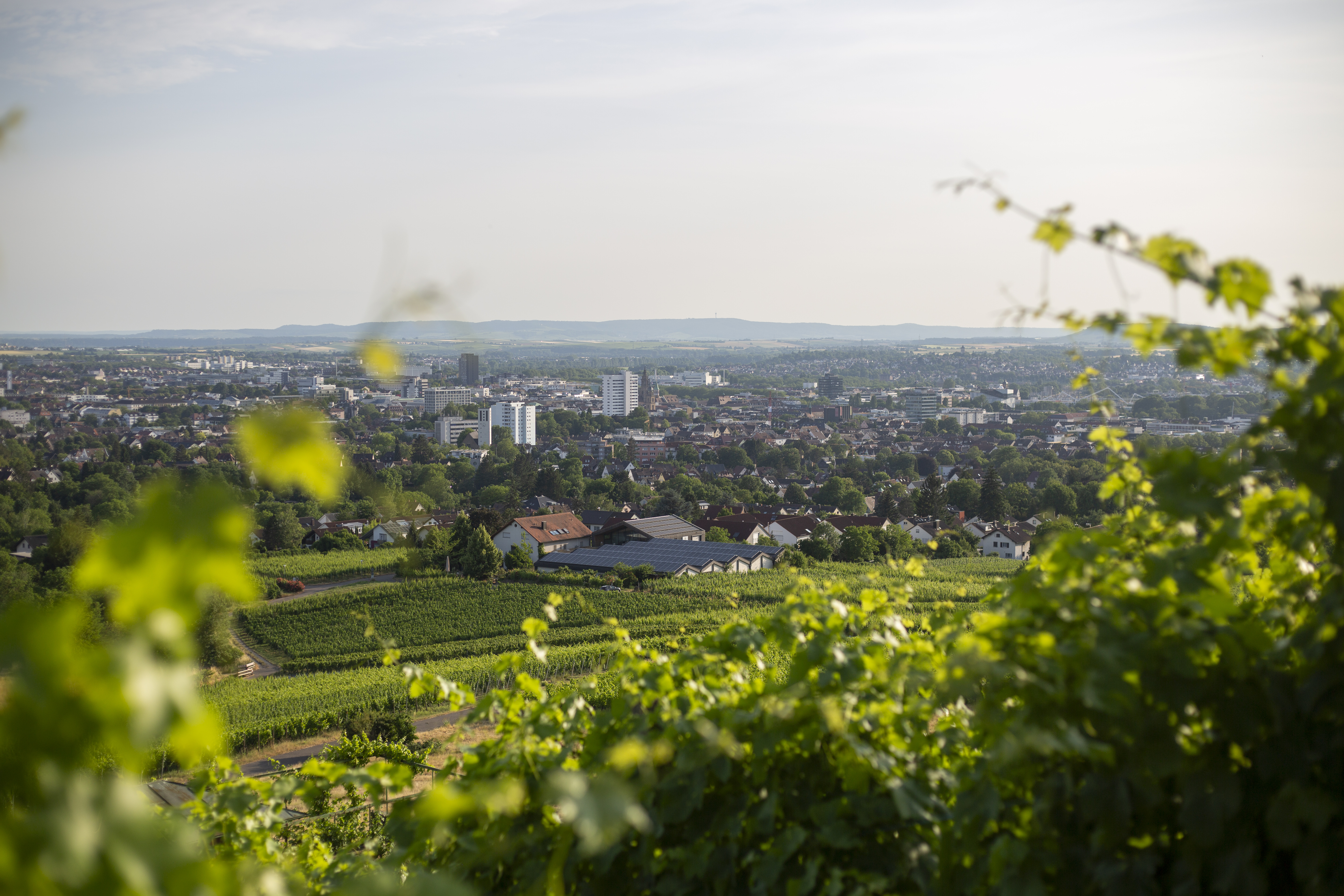 Nicht zuletzt dank seiner Aussicht ist der Wartberg ein beliebtes Ausflugsziel (Foto: Heilbronn Marketing GmbH/Maya Baum)
