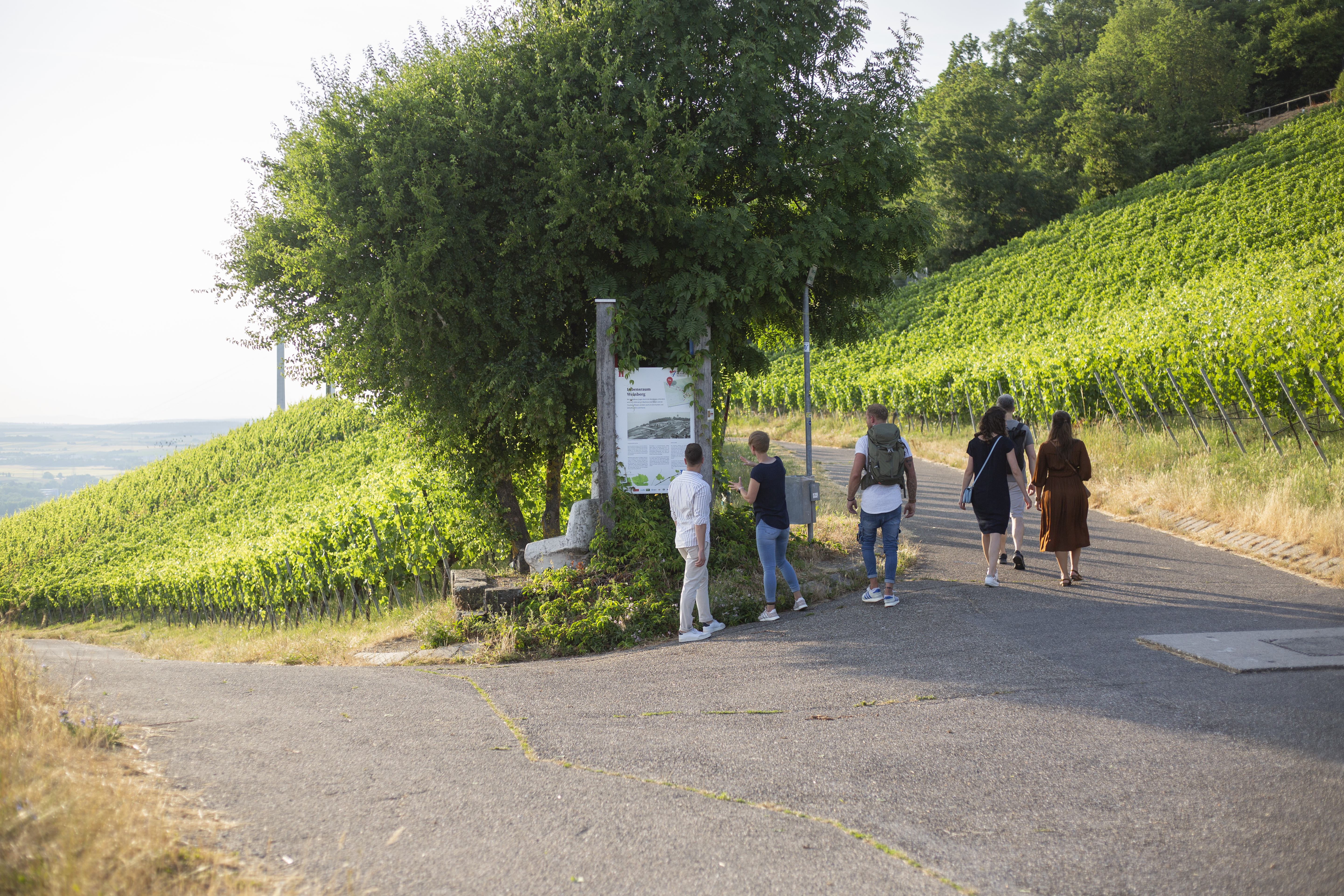 Nach dem gemeinsamen Spaziergang durch die Weinberge kann man sich im Restaurant oder Biergarten kulinarisch verwöhnen lassen (Foto: Heilbronn Marketing GmbH/Maya Baum)
